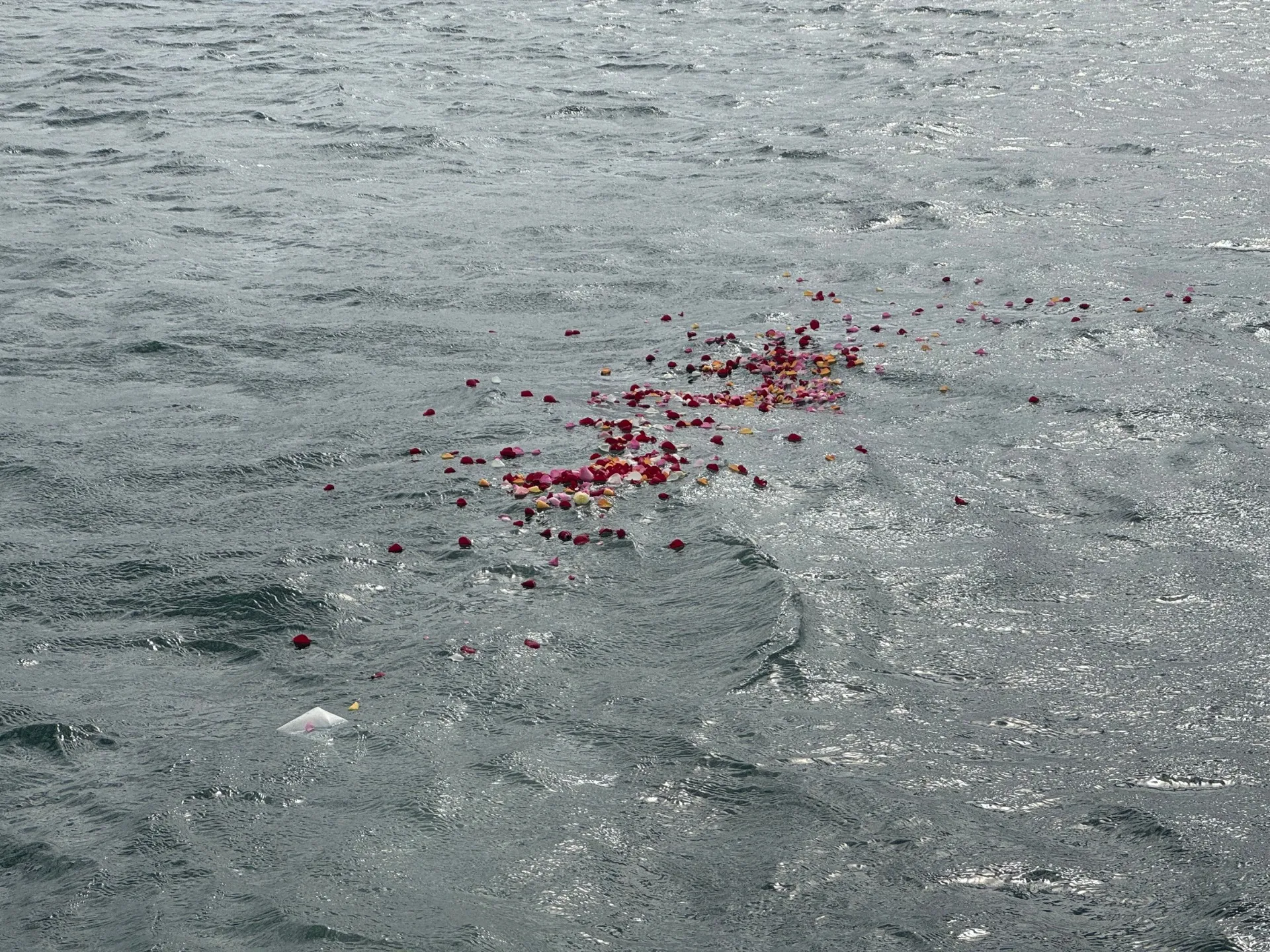 3月2日羽田沖にてＴ様の海洋散骨を実施しました。