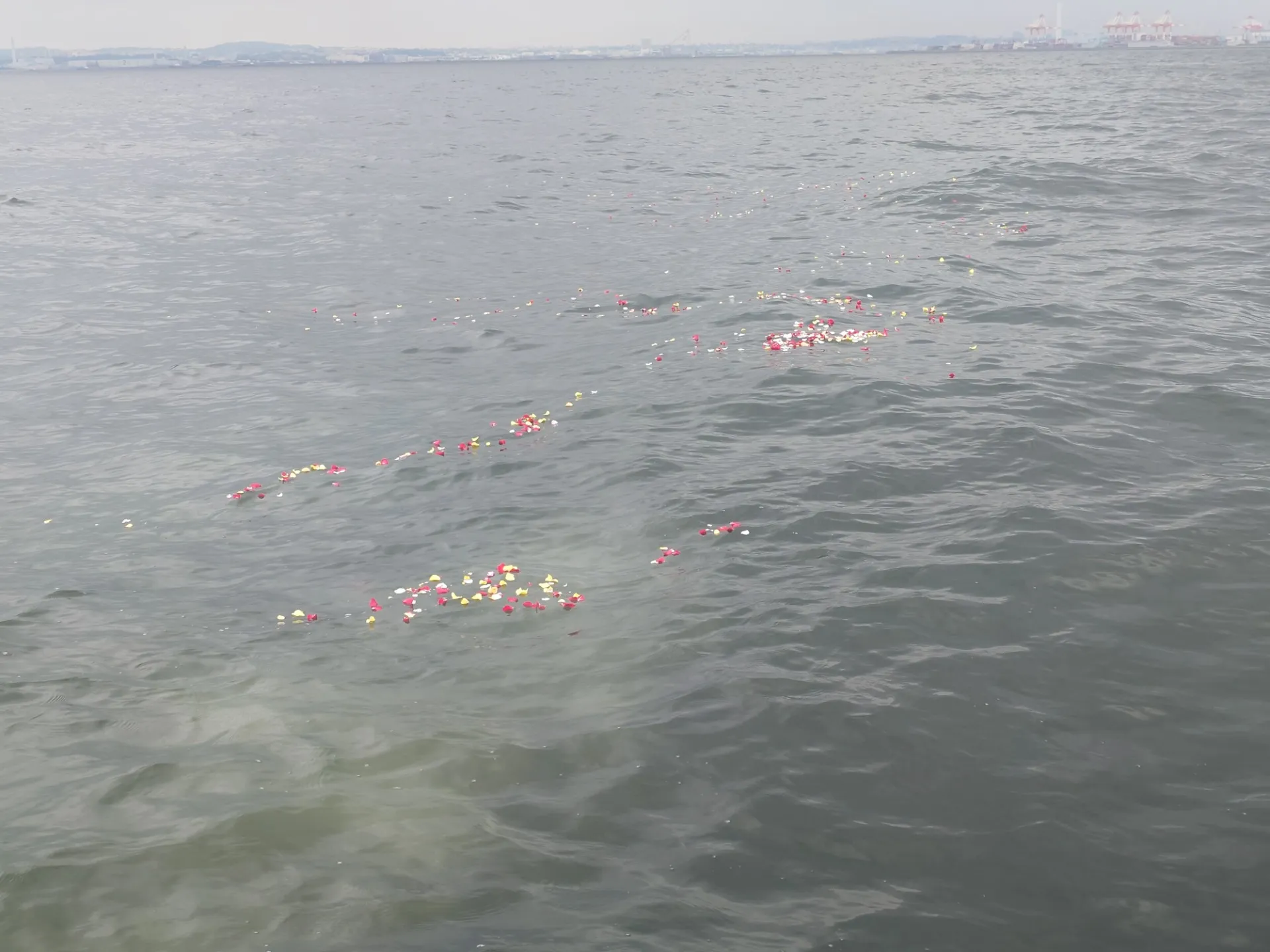 【東京湾の海洋散骨】日野市K様の海洋散骨を行いました。｜東京湾で海洋散骨アドバイザーをお探しならマーベルセレモニーへ