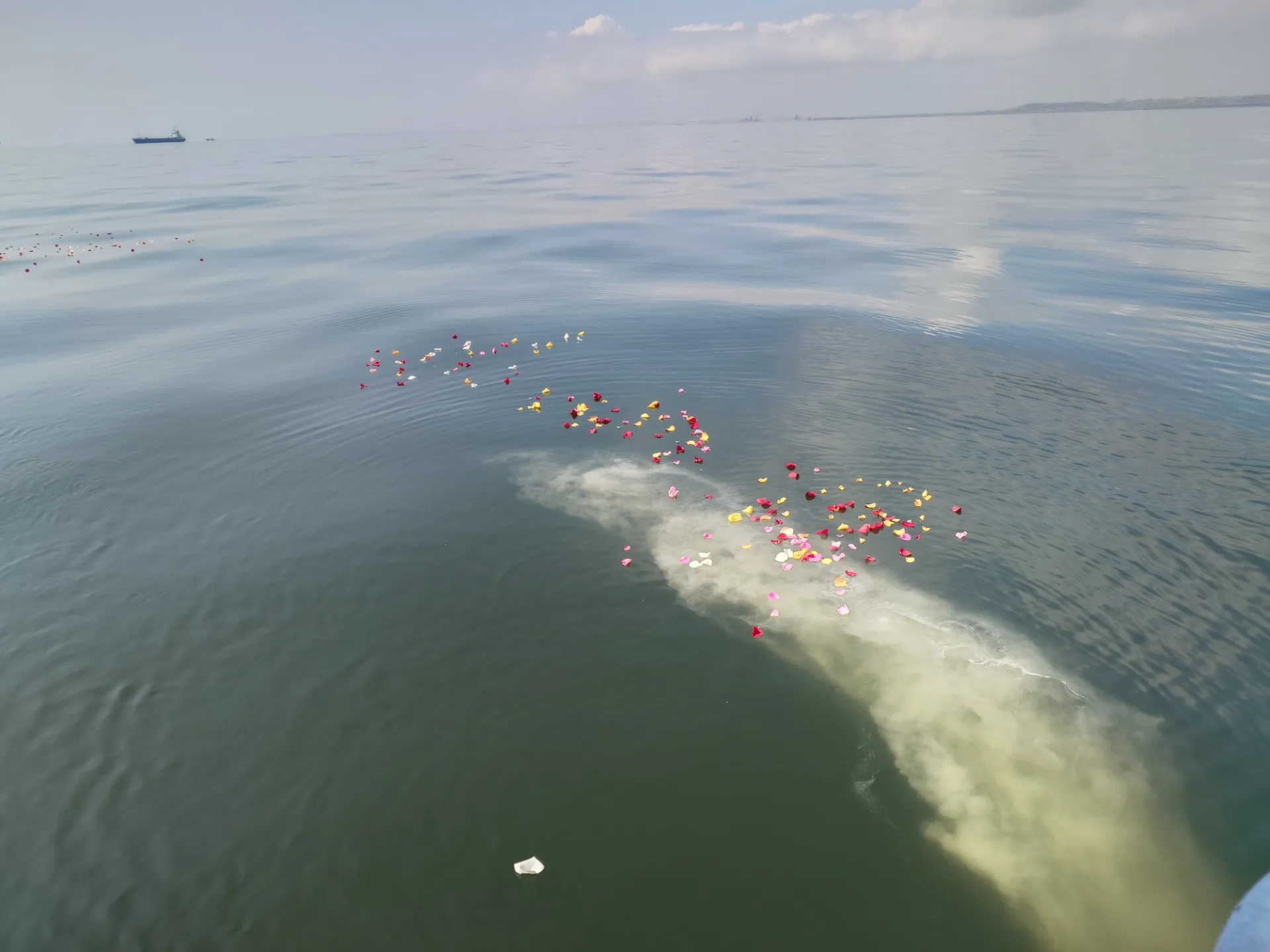 3月28日 鏡のような海に響くハープの音色とともに