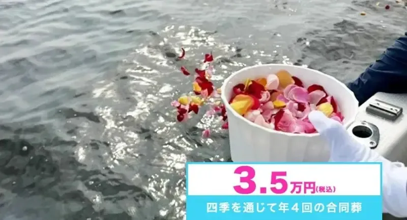 代理散骨